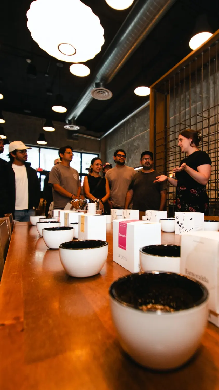 Cupping bowls lined up on the long table